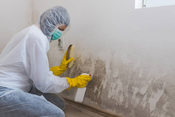 Best Mold Inspection  in Krugerville, TX