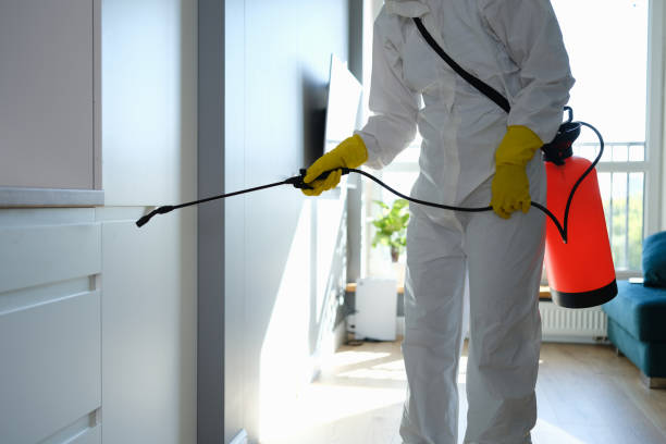 Best Residential Mold Removal  in Krugerville, TX