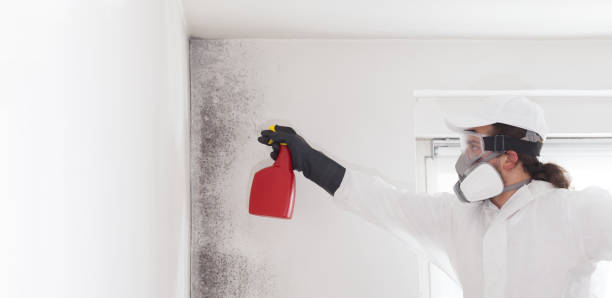 Best Best Mold Removal Companies  in Krugerville, TX