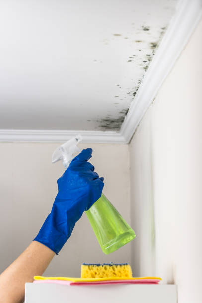 Best Water Damage Restoration  in Krugerville, TX